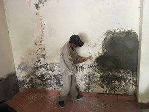 Quy trình thi công sơn bả tường ngoại thất